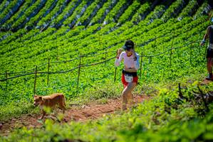 BIB: 
                            <button type="button" onclick="openModal(19163027)" class="btn btn-primary btn-sm float-right btn-popup" data-toggle="modal" data-target=".modal-high-quality">
                        <i class="fas fa-shopping-cart"></i> Add to Cart
                    </button>
                                            <button type="button" onclick="isThisMe(19163027, true)" class="btn btn-success btn-sm float-right btn-popup btn-isme hidden" data-toggle="tooltip" data-placement="bottom" title="นี่คือรูปของคุณใช่ไหม คลิกที่นี่เพื่อเอาเข้าอัลบั้ม">
                        <i class="fas fa-plus"></i> Add to album
                    </button>
                    <button type="button" onclick="isThisMe(19163027, false)" class="btn btn-warning btn-sm float-right btn-popup btn-isnotme hidden">
                        <i class="fas fa-ban"></i> Remove from album
                    </button>